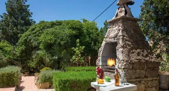 Bonita 阿尔布费拉